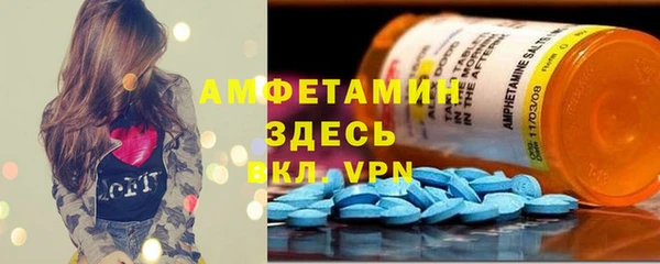 мет Алексин