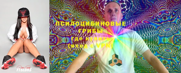 мет Алексин