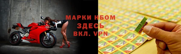 мет Алексин