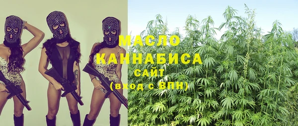 мет Алексин