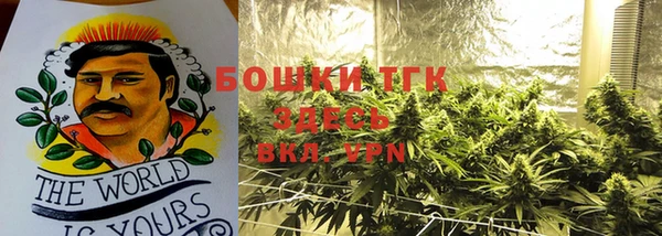 мет Алексин