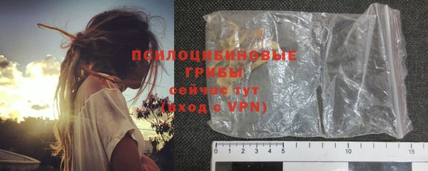 гашик Алзамай