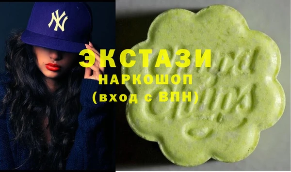 мет Алексин
