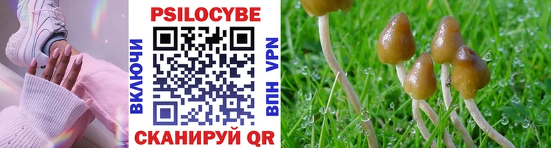 omg зеркало  Зеленоградск  Псилоцибиновые грибы Psilocybine cubensis 